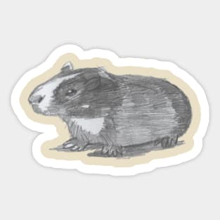 Guinea Pig Sticker